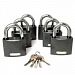 ВС Апекс PD-01-63 (6 locks+ 5 ключей) замки навесные под один ключ (1/5)